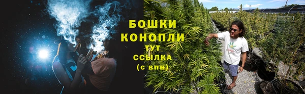 MESCALINE Богородицк