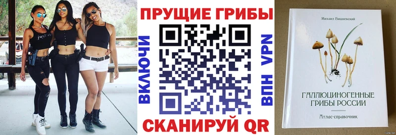 Псилоцибиновые грибы Psilocybe  Орёл 